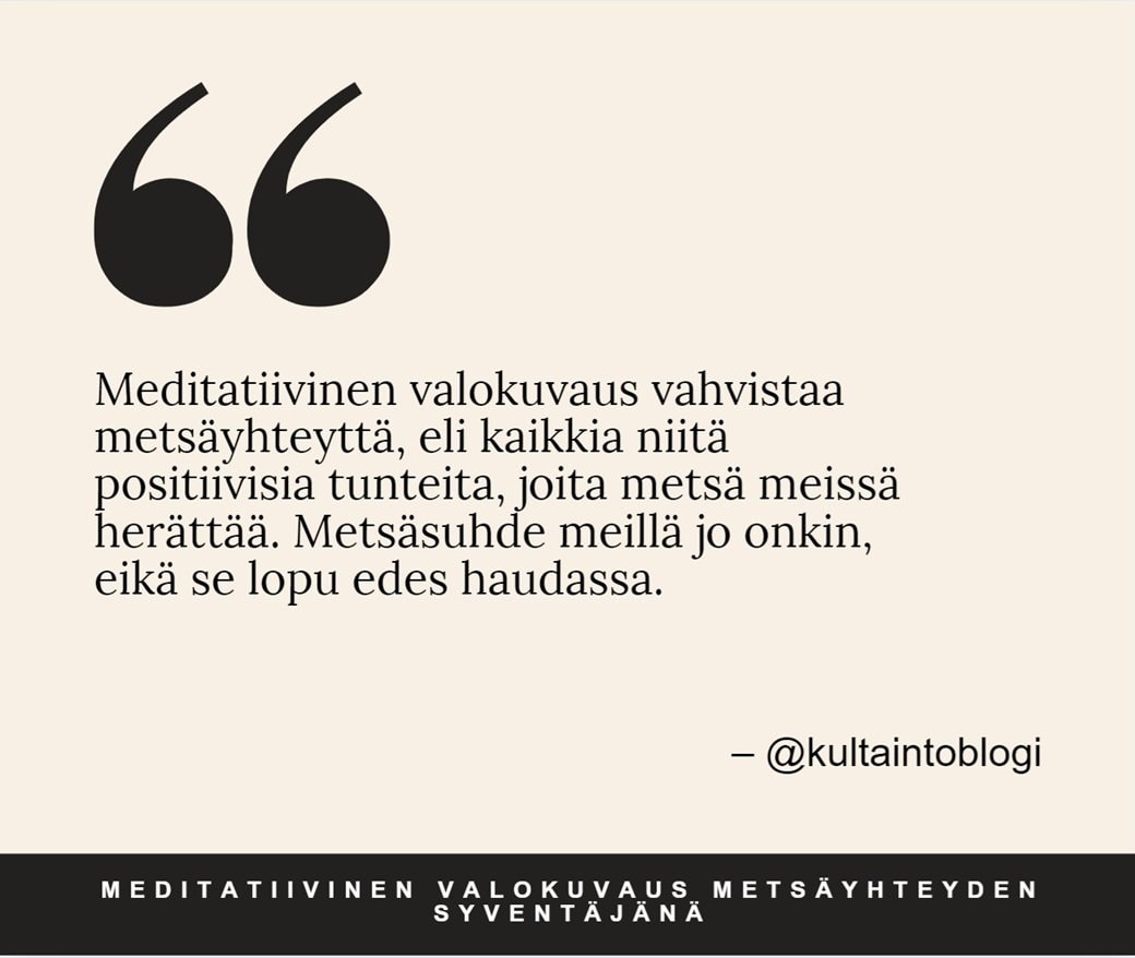 meditatiivinen valokuvaus metsäyhteyden syventäjänä